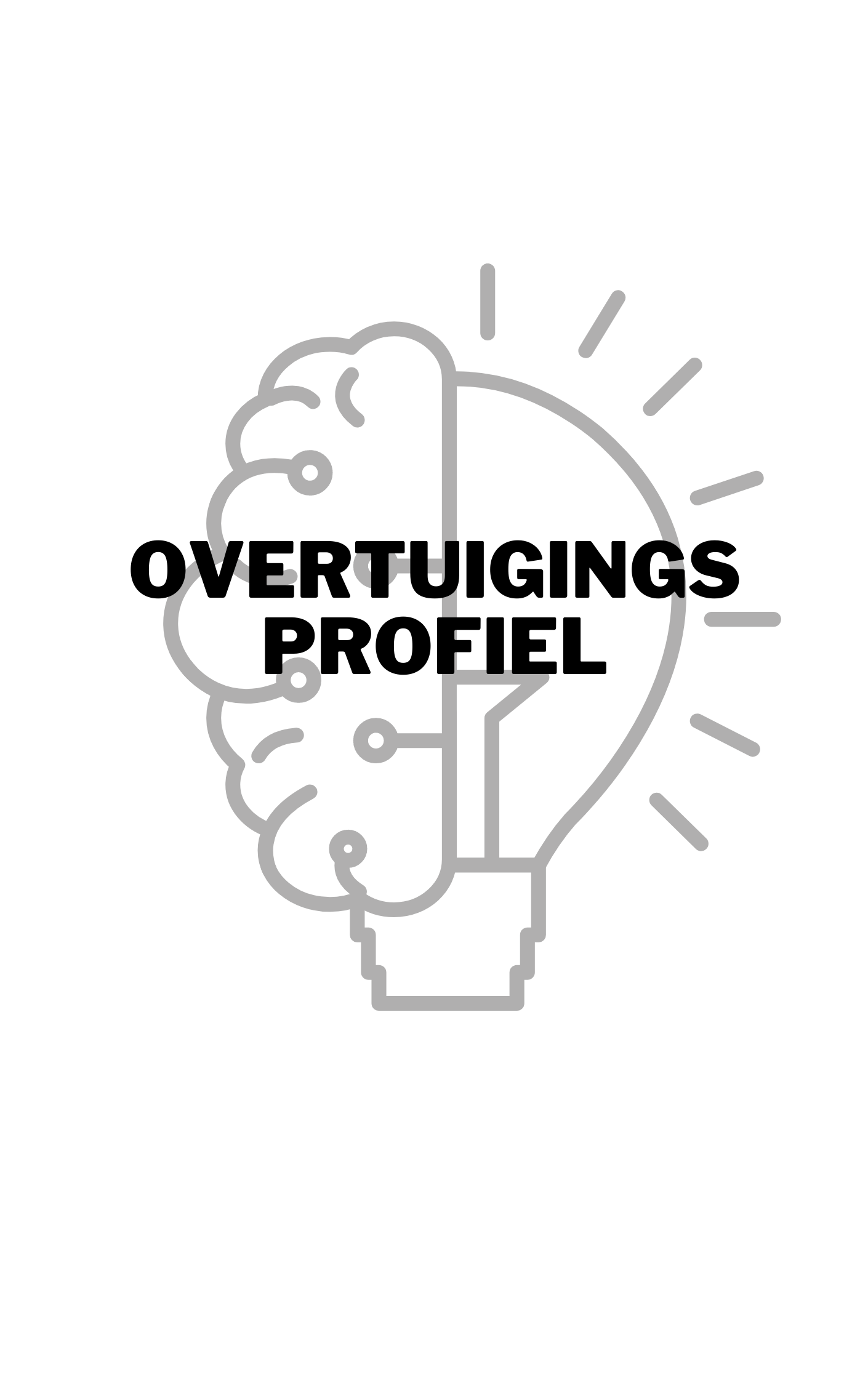 Overtuigingsprofiel